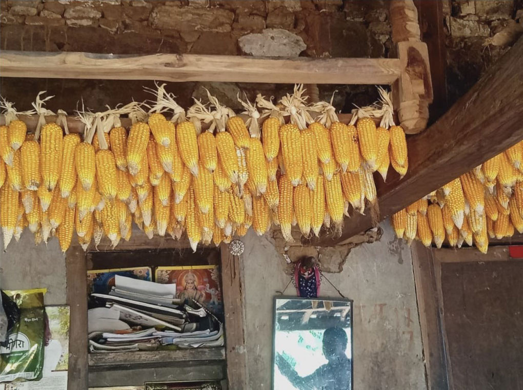 Seed Exchange